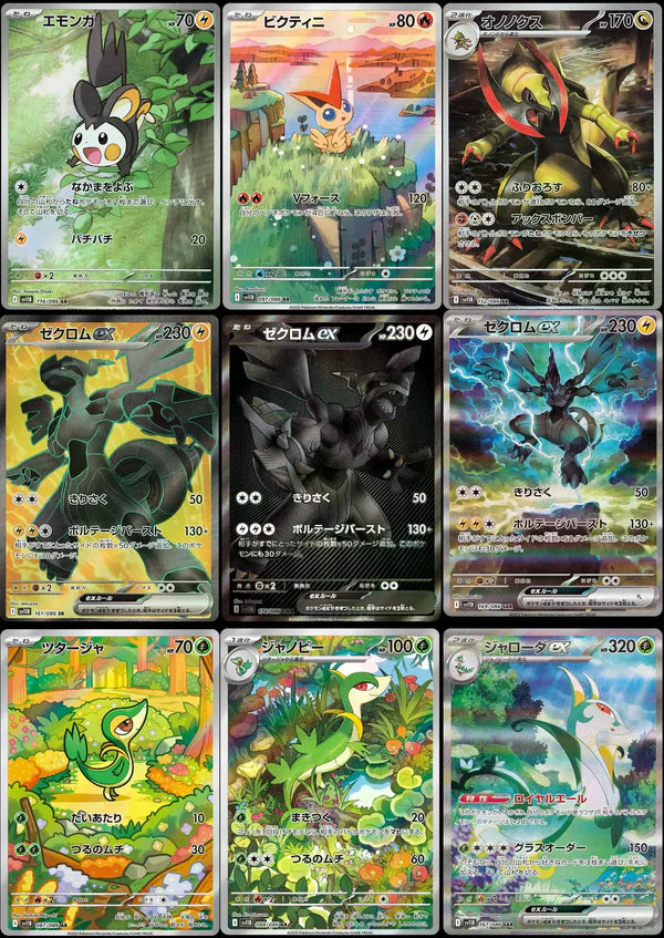 Pokémon Scarlet & Violet Black Bolt Display SV11B von cardclash-de, schwarzer Karten-Display mit Pokémon-Designs, auf Bild sichtbar